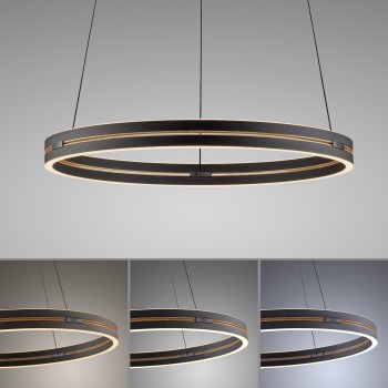 Lustra LED PURE E-LOOP negru Zuma Line 2551-18, D70.1 cm, 22W