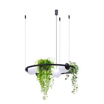 Lustra PLANT negru Zuma Line 5005, D78 cm, 3xE27