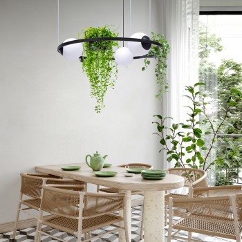 Lustra PLANT negru Zuma Line 5005, D78 cm, 3xE27