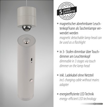 Pendul LED ATTACH gri Zuma Line 18281-40, 200x4 cm, 3W
