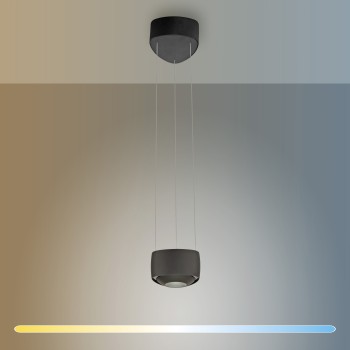 Pendul LED Q-STRETTO negru Zuma Line 2657-18, D14.2 cm, 20W