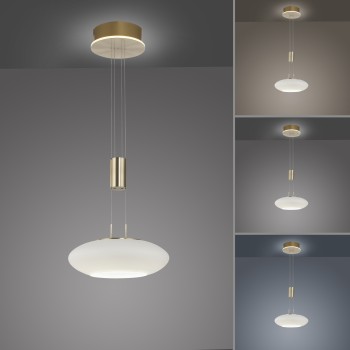Pendul LED Q-ETIENNE alama mata Zuma Line 2075-60, D35 cm, 38.5W