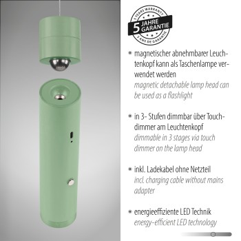 Pendul LED ATTACH verde deschis Zuma Line 18281-43, 200x4 cm, 3W