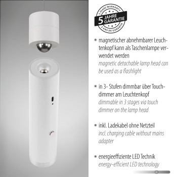 Pendul LED ATTACH alb Zuma Line 18281-16, 200x4 cm, 3W