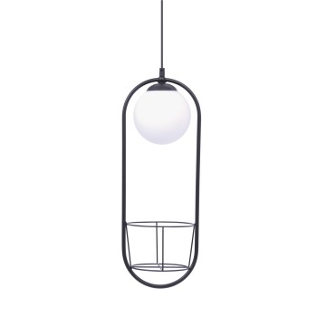Pendul PLANT negru Zuma Line 5003, D20 cm, 1xE14