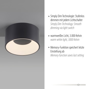 Plafoniera LED TANIKA negru Zuma Line 14325-18, 8x16 cm, 14W
