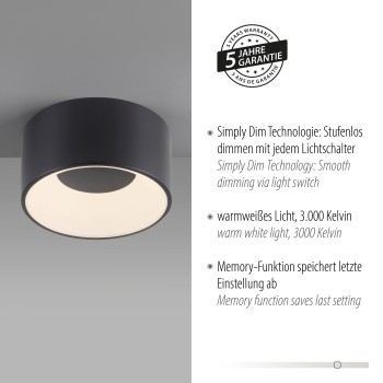 Plafoniera LED TANIKA negru Zuma Line 14325-18, 8x16 cm, 14W