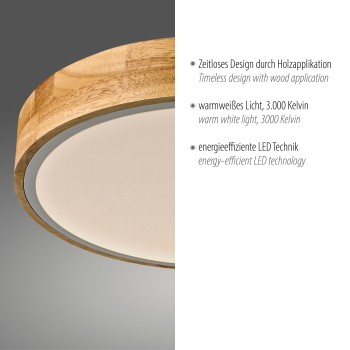 Plafoniera LED BILA negru Zuma Line 14288-16, D32 cm, 24W