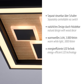 Plafoniera LED ELIZA negru Zuma Line 6283-79, D48 cm, 55W