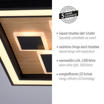 Plafoniera LED ELIZA negru Zuma Line 6283-79, D48 cm, 55W