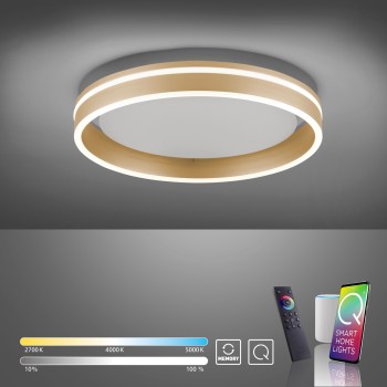 Plafoniera LED Q-VITO alama mata Zuma Line 8414-60, D40 cm, 33W, RGB