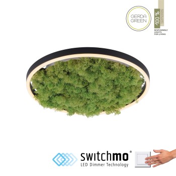 Plafoniera LED GREEN RITUS muschi natural Zuma Line 15391-66, D39.3 cm, 20W