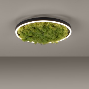Plafoniera LED GREEN RITUS muschi natural Zuma Line 15391-66, D39.3 cm, 20W