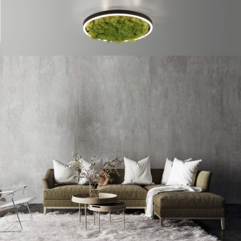 Plafoniera LED GREEN RITUS muschi natural Zuma Line 15391-66, D39.3 cm, 20W