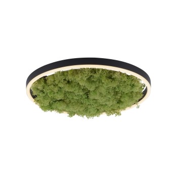 Plafoniera LED GREEN RITUS muschi natural Zuma Line 15391-66, D39.3 cm, 20W