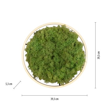 Plafoniera LED GREEN RITUS muschi natural Zuma Line 15391-66, D39.3 cm, 20W
