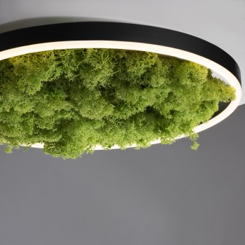 Plafoniera LED GREEN RITUS muschi natural Zuma Line 15391-66, D39.3 cm, 20W