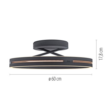 Plafoniera LED PURE LOOP negru Zuma Line 6552-18, D60 cm, 9W
