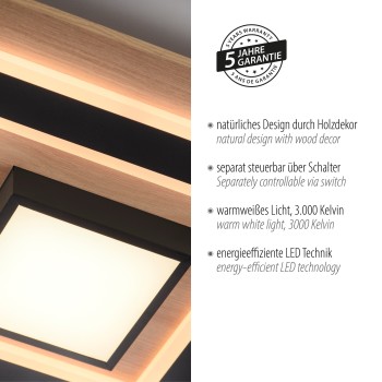Plafoniera LED TOLA negru Zuma Line 14563-18, 7.2x40 cm, 30W