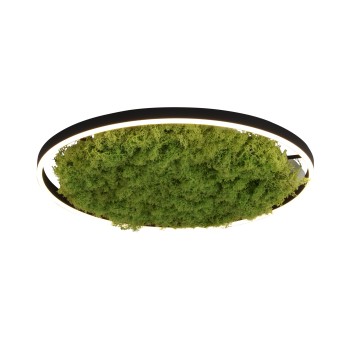 Plafoniera LED GREEN RITUS muschi natural Zuma Line 15392-66, D58.5 cm, 28W