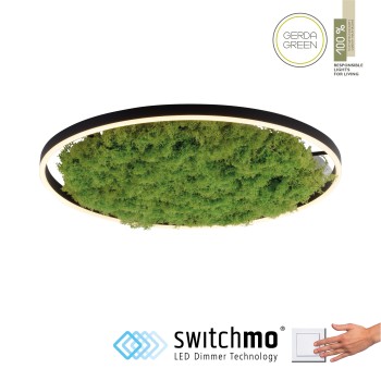 Plafoniera LED GREEN RITUS muschi natural Zuma Line 15392-66, D58.5 cm, 28W