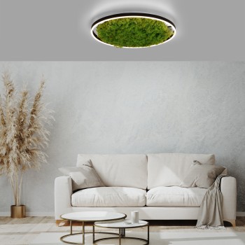 Plafoniera LED GREEN RITUS muschi natural Zuma Line 15392-66, D58.5 cm, 28W