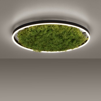 Plafoniera LED GREEN RITUS muschi natural Zuma Line 15392-66, D58.5 cm, 28W