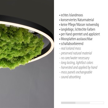 Plafoniera LED GREEN RITUS muschi natural Zuma Line 15392-66, D58.5 cm, 28W