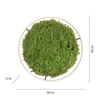 Plafoniera LED GREEN RITUS muschi natural Zuma Line 15392-66, D58.5 cm, 28W