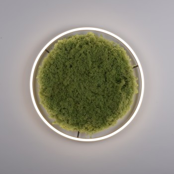 Plafoniera LED GREEN RITUS muschi natural Zuma Line 15392-66, D58.5 cm, 28W