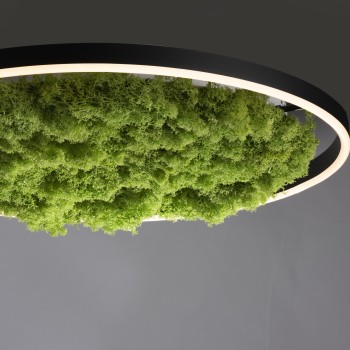 Plafoniera LED GREEN RITUS muschi natural Zuma Line 15392-66, D58.5 cm, 28W