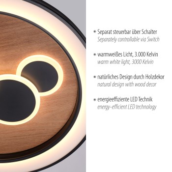 Plafoniera LED ELIZA negru Zuma Line 6284-79, D60 cm, 63W