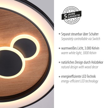 Plafoniera LED ELIZA negru Zuma Line 6284-79, D60 cm, 63W