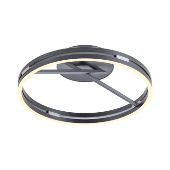 Plafoniera LED PURE LOOP gri Zuma Line 6552-15, D60 cm, 42W