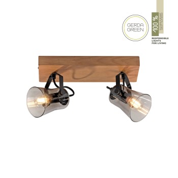 Plafoniera GREEN LANGSTROM negru Zuma Line 11448-79, 21x18 cm, 2xE14