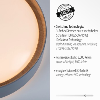 Plafoniera LED EMILIA gri Zuma Line 14347-15, 10x40 cm, 32W