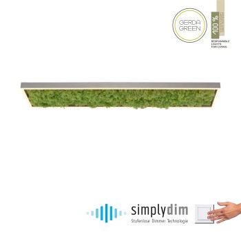 Plafoniera LED GREEN KNUT muschi natural Zuma Line 15623-66, 100x25 cm, 25W