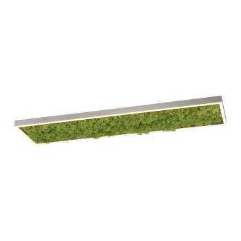 Plafoniera LED GREEN KNUT muschi natural Zuma Line 15623-66, 100x25 cm, 25W