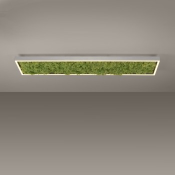 Plafoniera LED GREEN KNUT muschi natural Zuma Line 15623-66, 100x25 cm, 25W