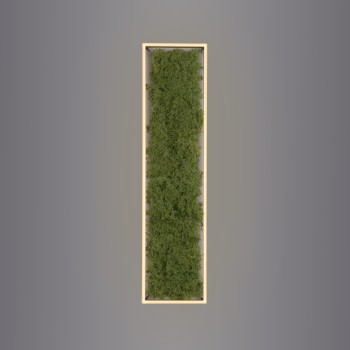 Plafoniera LED GREEN KNUT muschi natural Zuma Line 15623-66, 100x25 cm, 25W