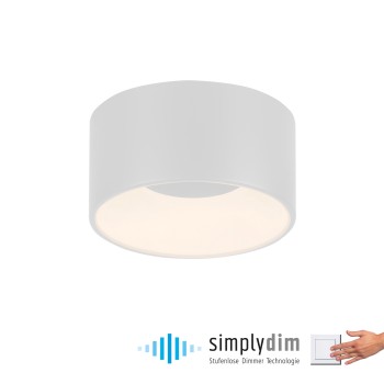 Plafoniera LED TANIKA alb Zuma Line 14325-16, 8x16 cm, 14W