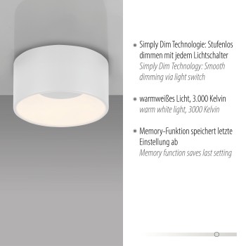 Plafoniera LED TANIKA alb Zuma Line 14325-16, 8x16 cm, 14W