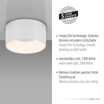 Plafoniera LED TANIKA alb Zuma Line 14325-16, 8x16 cm, 14W