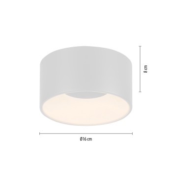Plafoniera LED TANIKA alb Zuma Line 14325-16, 8x16 cm, 14W