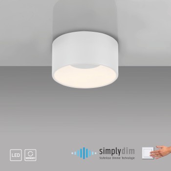 Plafoniera LED TANIKA alb Zuma Line 14325-16, 8x16 cm, 14W
