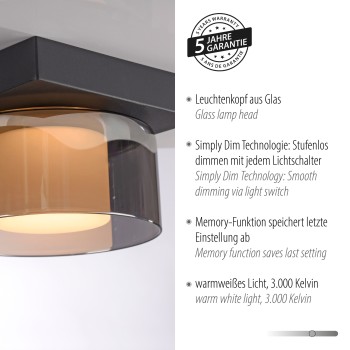 Plafoniera LED RIKA negru Zuma Line 6162-18, D15 cm, 6W, RGB