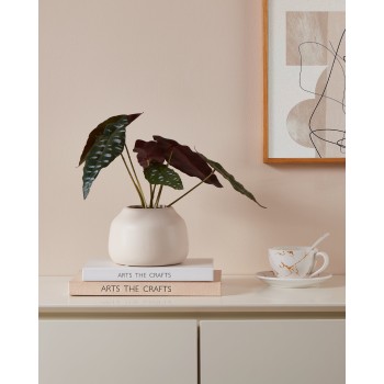Vaza decorativa ceramica LOVRAN, crem, 421398 - 1