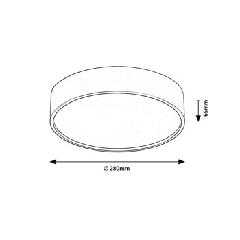 Plafoniera LED pentru baie Rabalux 75010 Larcia 1060lm 4000K argintiu