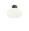 Plafoniera exterior IDEAL LUX CLIO MPL1 148861, E27 42W, antracit