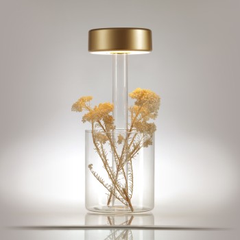 Veioză portabilă cu acumulator transparent Maytoni, H35, gold